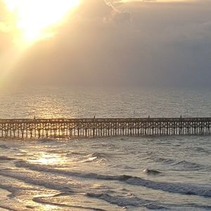 Meet your Posher, Renee